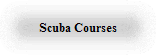 Scuba Courses