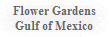 Flower Gardens
